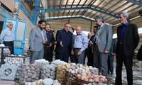گزارش تصویری از بازدید 3 ساعته استاندار از 4 واحد صنعتی و تولیدی در شهرک صنعتی بیرجند
