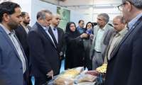 مشکلات دو واحد صنایع غذایی در شهرک صنعتی بیرجند بررسی شد / استقرار واحدهای کوچک دانش بنیان در سوله های کارگاهی شهرک صنعتی بیرجند قابل تقدیر است