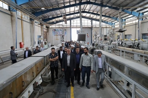 بازدید استاندار از شهرک صنعتی فردوس با حضور مدیرعامل شرکت شهرک های صنعتی خراسان جنوبی / گزارش تصویری