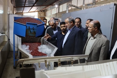 بازدید استاندار خراسان جنوبی از کارخانه فراوری عناب درباخ در شهرک صنعتی بیرجند